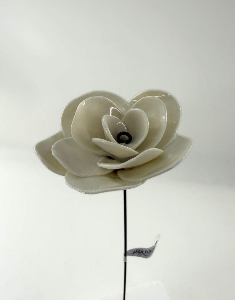 Alex Hackett Porseleinen Bloem – Camelia