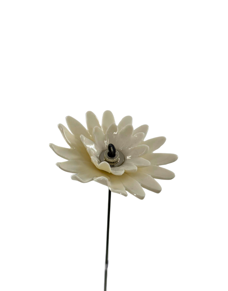 Alex Hackett Porseleinen bloem - Dubbel madeliefje