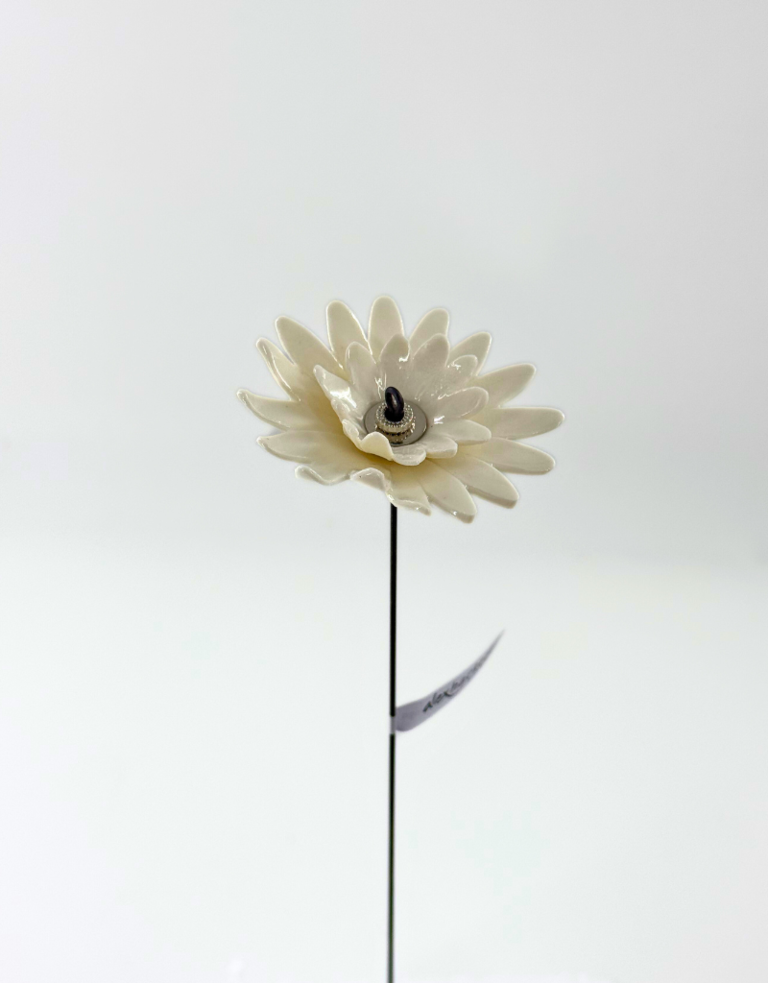 Alex Hackett Porseleinen bloem - Dubbel madeliefje