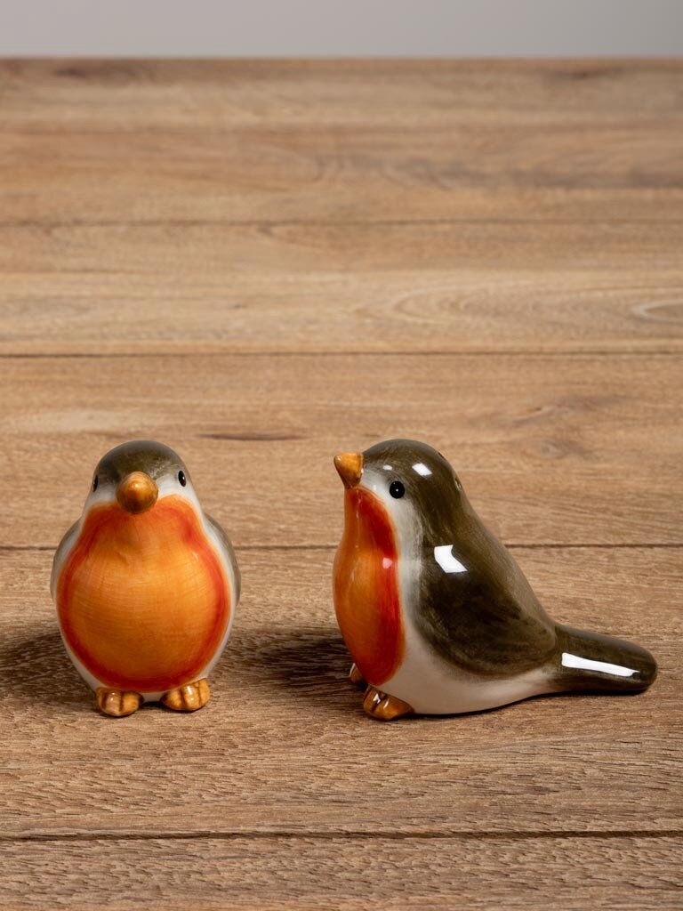 Robin salt & pepper shaker set