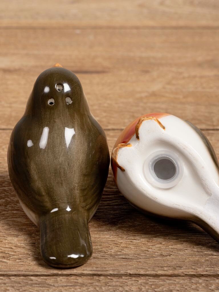 Robin salt & pepper shaker set