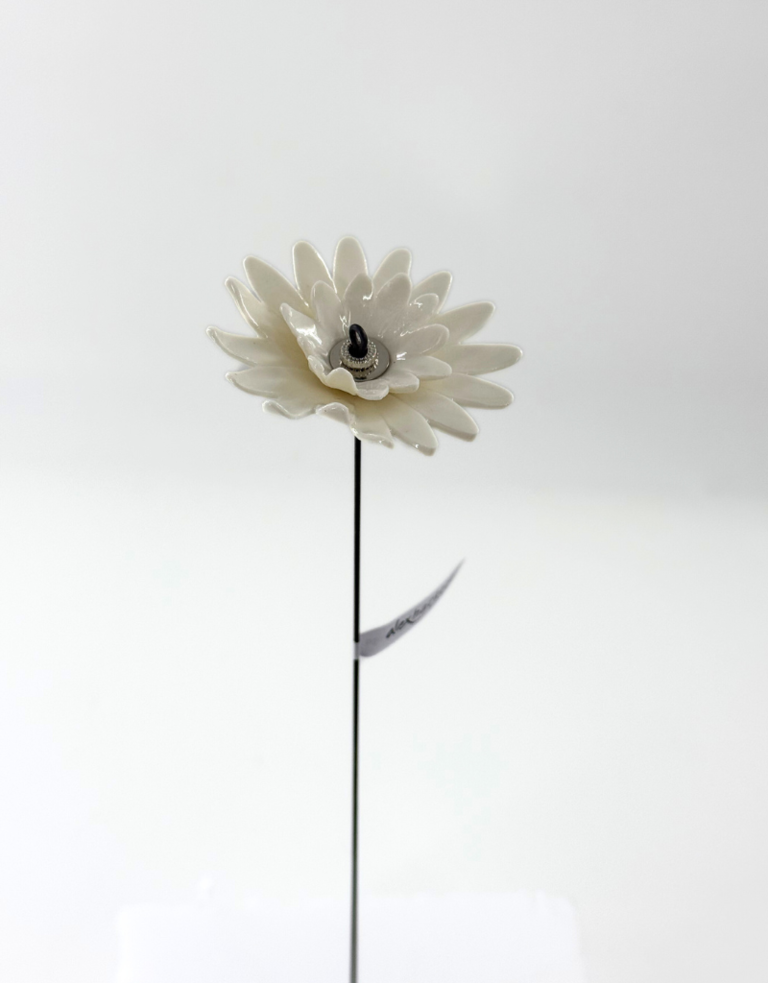 Alex Hackett Porcelain flower - Double Daisy