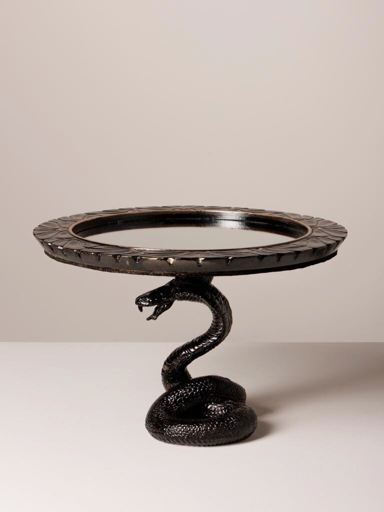 Spiegel Tray met Zwarte Slang – Curiosa Cabinet – 17 × 26 cm