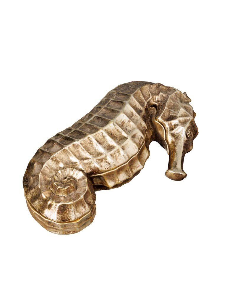 Golden Seahorse Box – Curiosa Cabinet – 24.5 × 14 × 7 cm