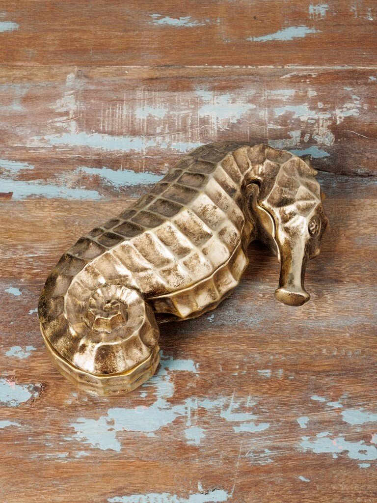 Golden Seahorse Box – Curiosa Cabinet – 24.5 × 14 × 7 cm