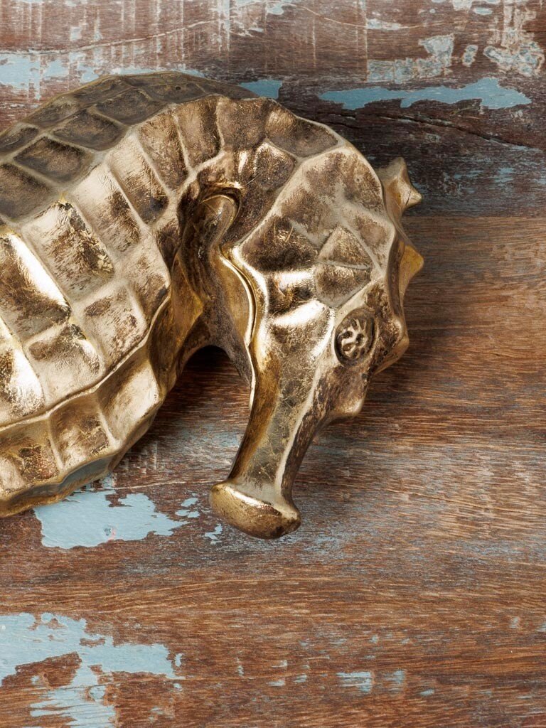 Golden Seahorse Box – Curiosa Cabinet – 24.5 × 14 × 7 cm