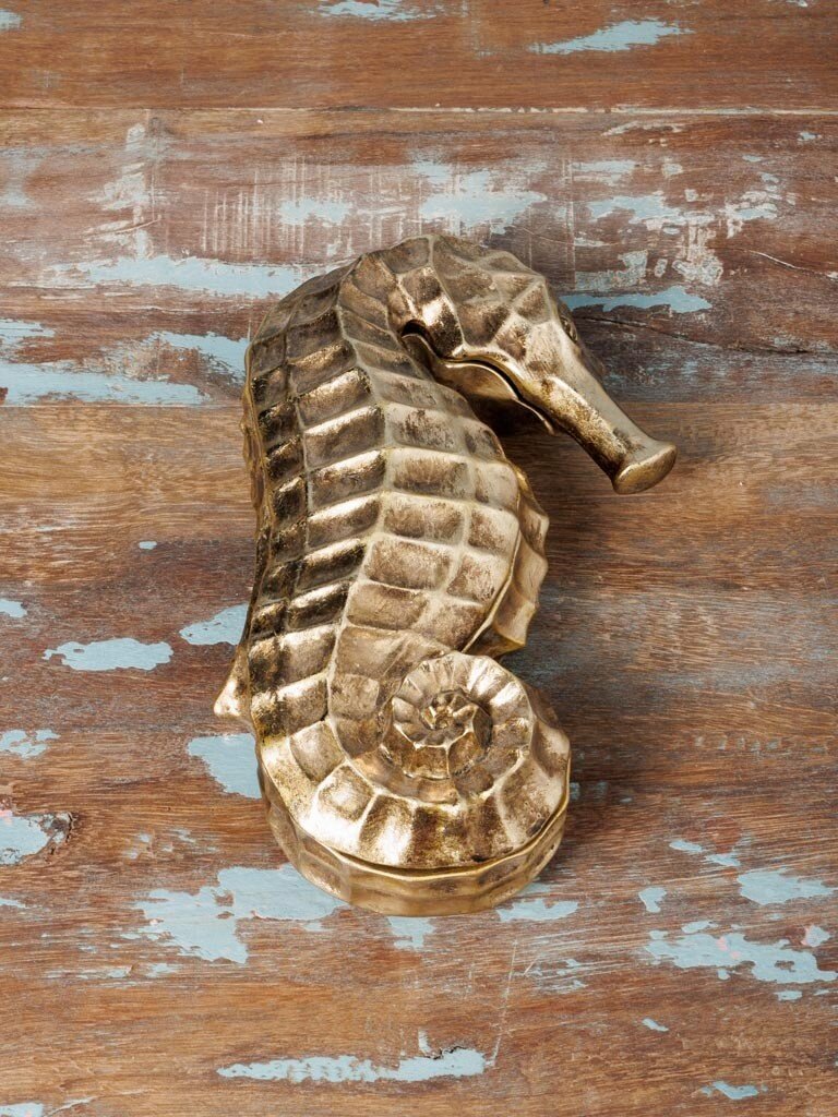 Golden Seahorse Box – Curiosa Cabinet – 24.5 × 14 × 7 cm