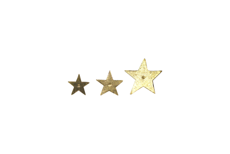 Boncoeurs Star Wall Pin –available in 3 sizes
