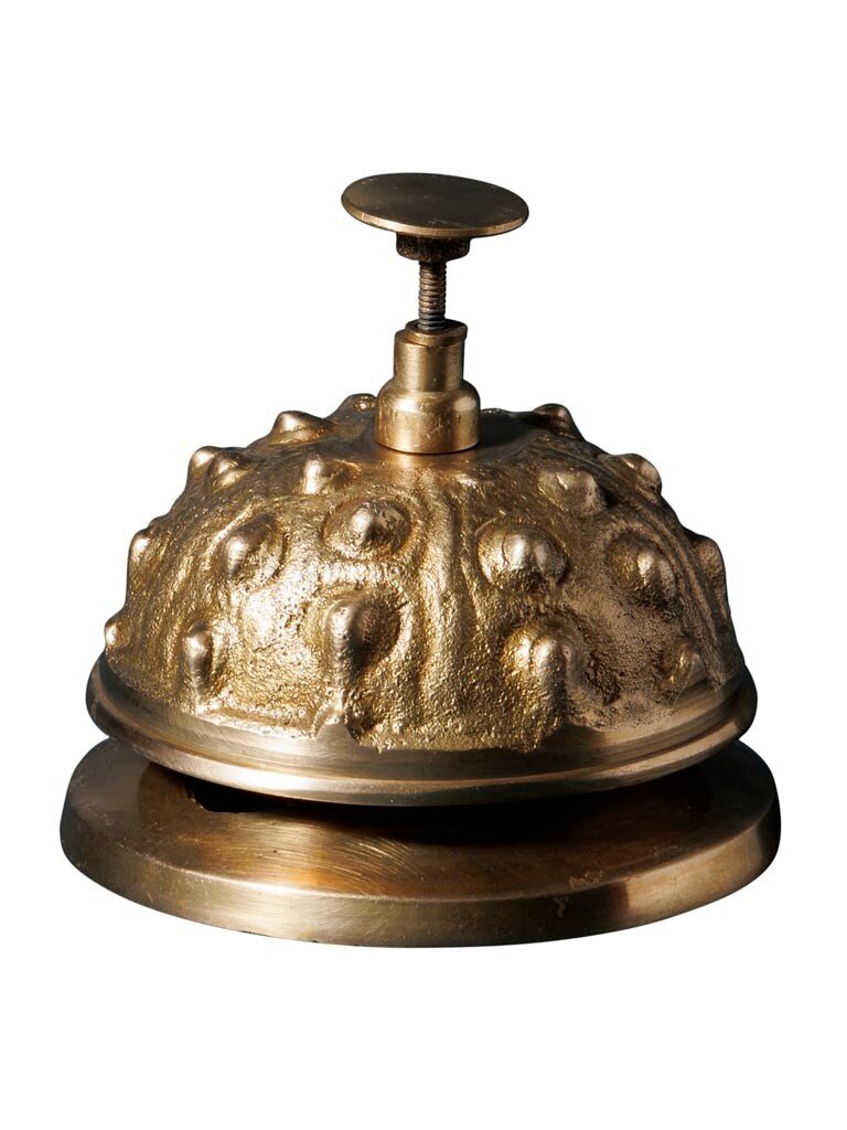 Golden Desk Bell Urchin