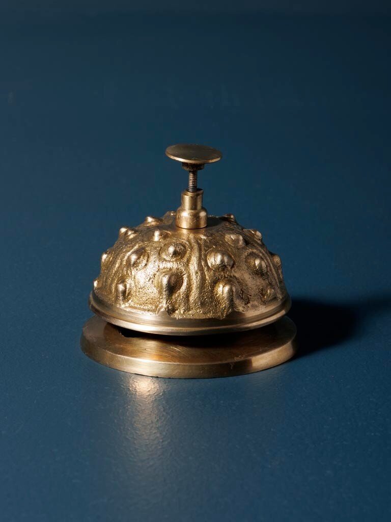 Golden Desk Bell Urchin