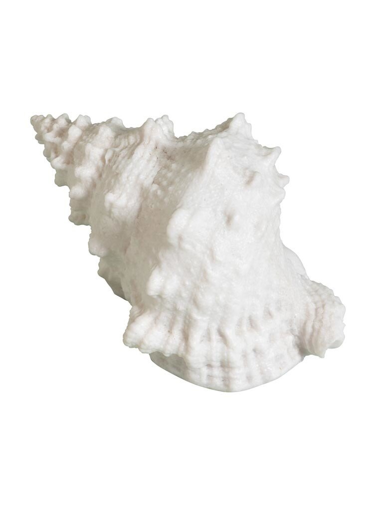 Shell Table Lamp – Battery Operated