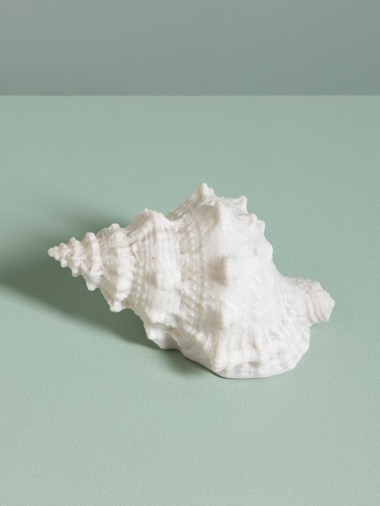 Shell Table Lamp – Battery Operated