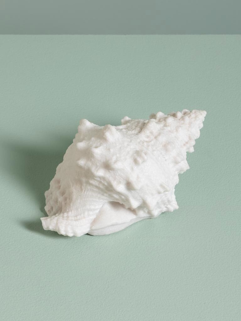 Shell Table Lamp – Battery Operated