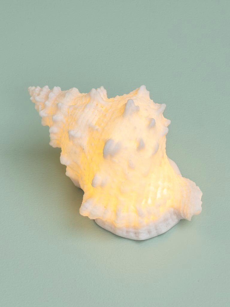 Shell Table Lamp – Battery Operated