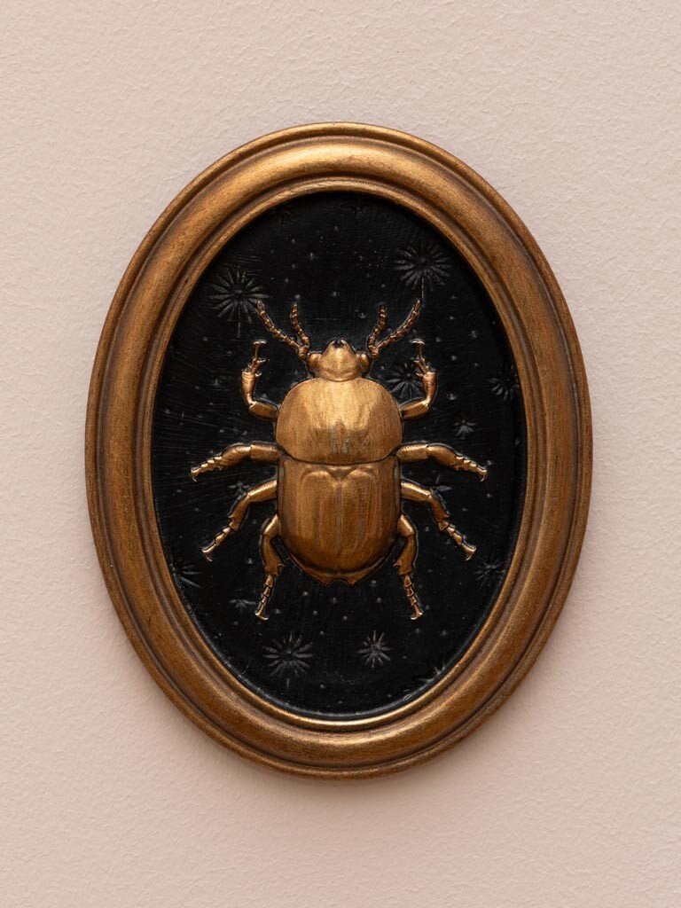 Set van Vier Entomologie Lijstjes – Insecten