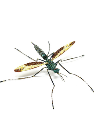 Trovelore Mosquito Object Art