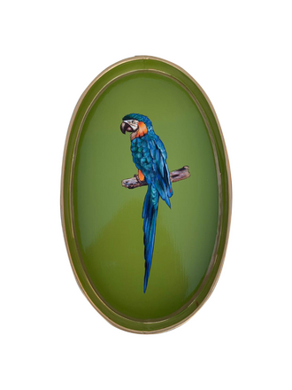 Les Ottomans Fauna Handgeschilderde IJzeren Tray – Papegaai