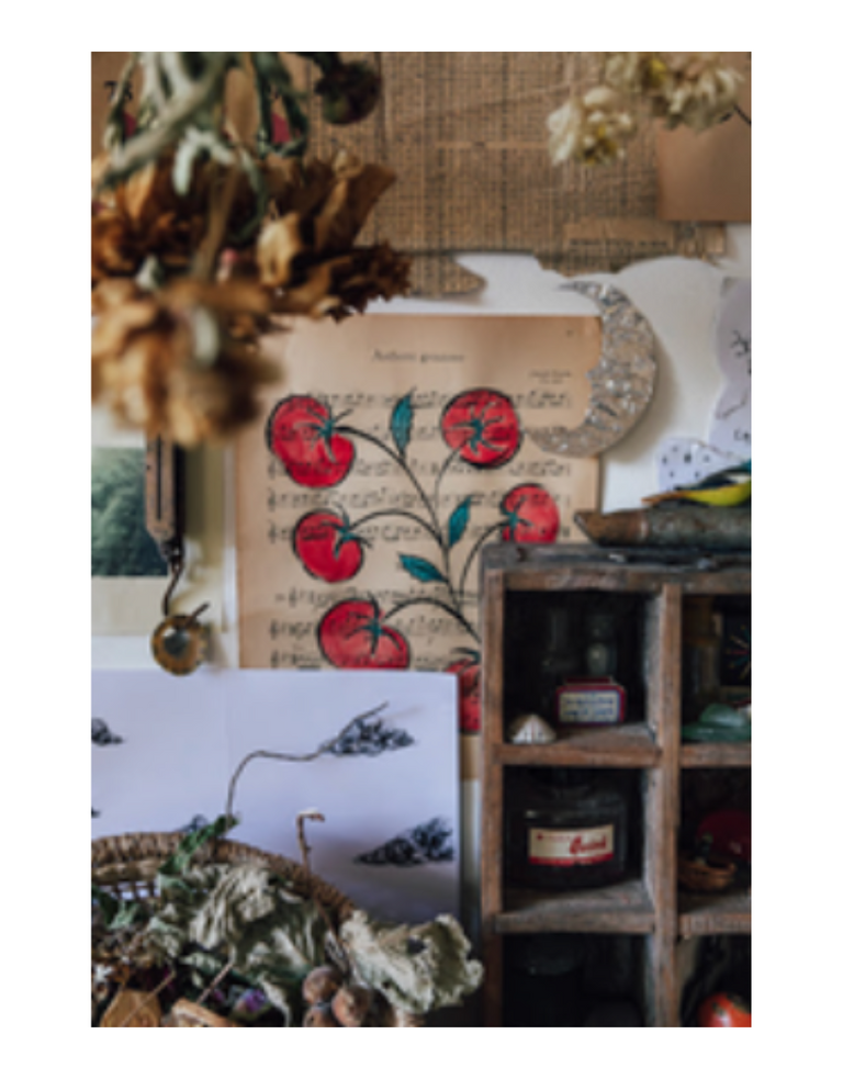 Faire Magazine FAIRE Magazine nummer 14