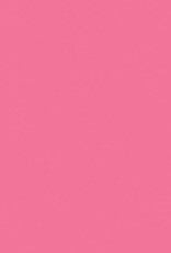 Jacquard Products Jacquard Basic Dye Pink