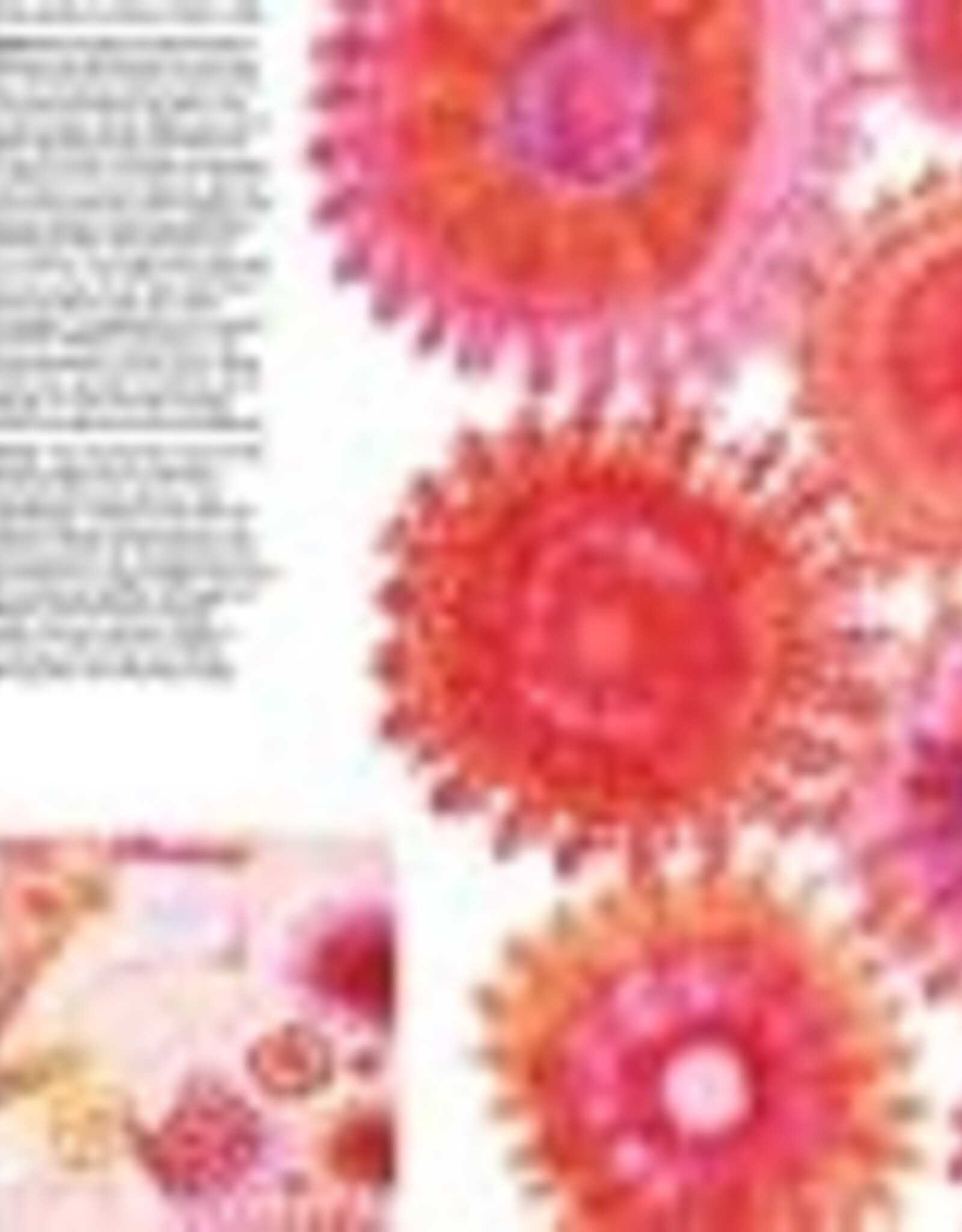 Fragile Fabrics / Jan Beaney & Jean Littlejohn Book 23
