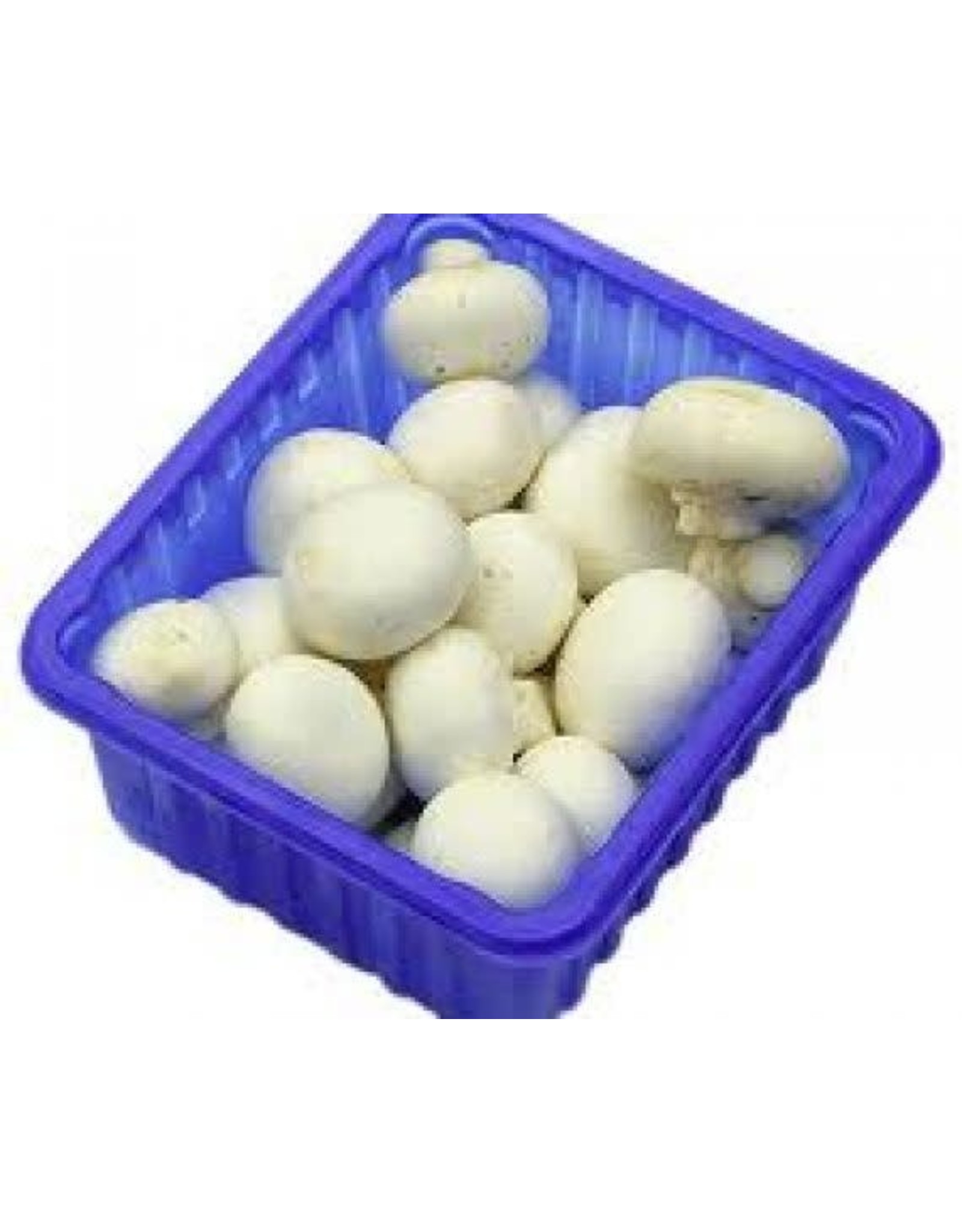 CHAMPIGNONS 3KG