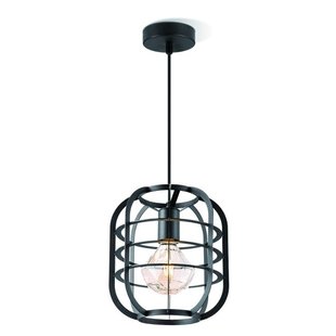 Draadlamp | kooilamp serie Nero 25 hanglamp