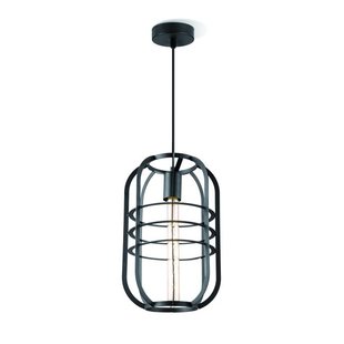 Draadlamp | kooilamp serie Nero 40 hanglamp