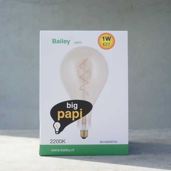 Bailey  Touwlamp met XXL led lamp 1 Watt dimbaar