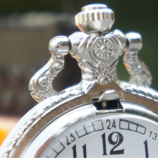 Goods Pocketwatch  zilverkleur 4,7cm