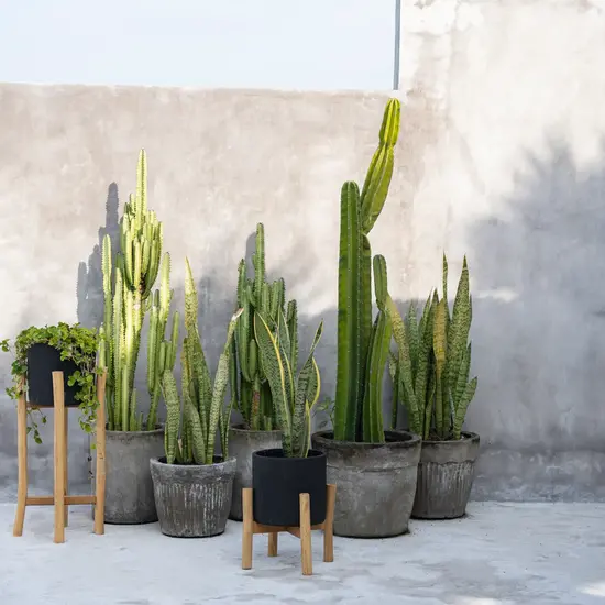 Bazar Bizar De Charcoal Lage Plantenbak - Zwart Natural - S