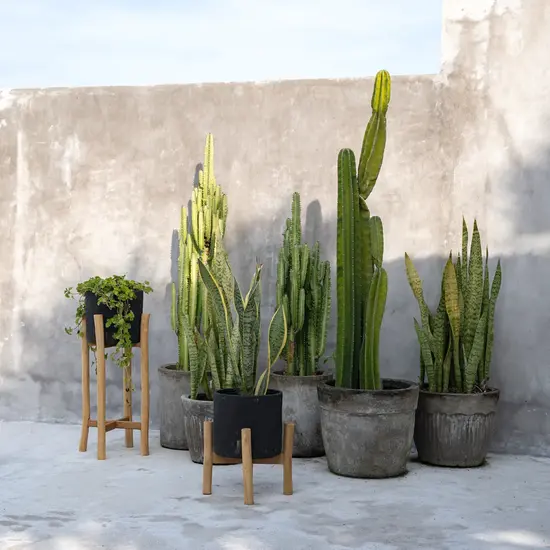 Bazar Bizar De Charcoal Lage Plantenbak - Zwart Natural - S