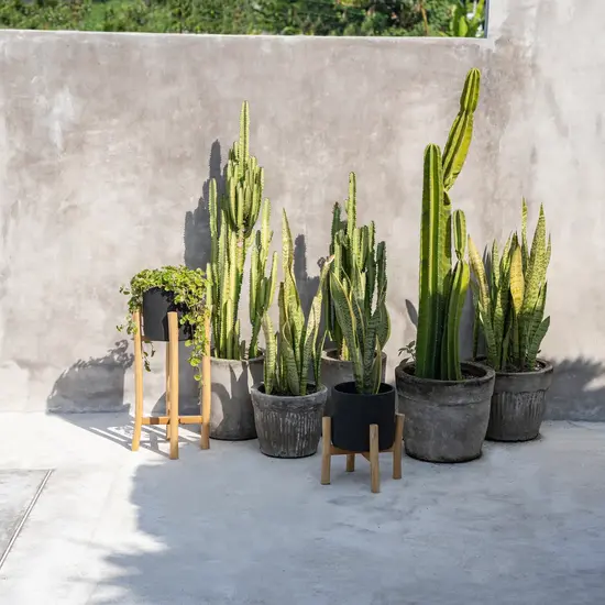 Bazar Bizar De Charcoal Lage Plantenbak - Zwart Natural - S