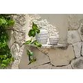Bazar Bizar De Trendy Vaas - Beton - L