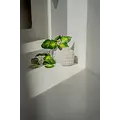 Bazar Bizar De Trendy Vaas - Beton - L