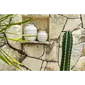 Bazar Bizar De Trendy Vaas - Beton - L
