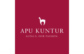 Apu Kuntur