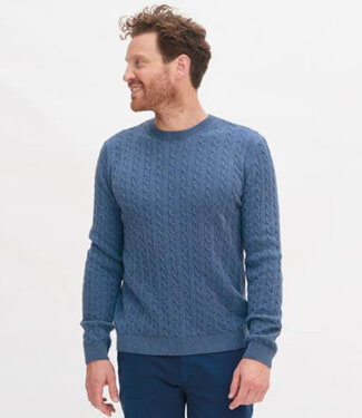 Living Crafts LIVING CRAFTS wollen heren trui merinowol NICOLAS BLUE
