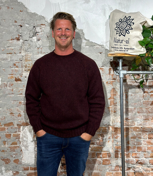HARLEY Wollen trui WIZZARD van pure wol