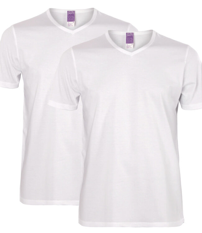 LIVING CRAFTS shirt WIT BASIC DUO V-hals biologisch katoen