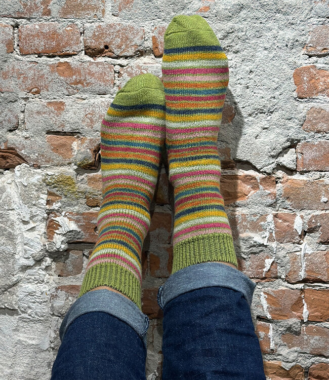 HIRSCH dikke wollen ski sokken REGENBOOG GROEN 016E 54