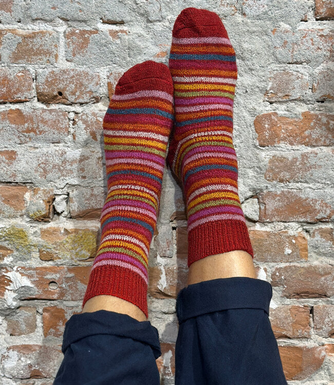 HIRSCH dikke wollen ski sokken REGENBOOG ROOD 016E 31