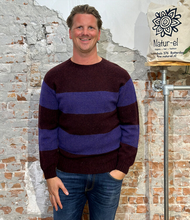 HARLEY gestreepte wollen trui WIZZARD VIOLET van pure wol