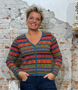 Flomax FLOMAX puur wollen v-hals vest ROSALIA MULTI