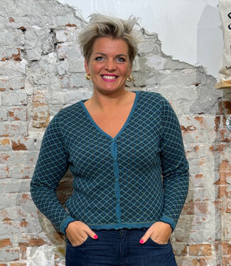 Flomax FLOMAX puur wollen v-hals vest TILDA BLUE