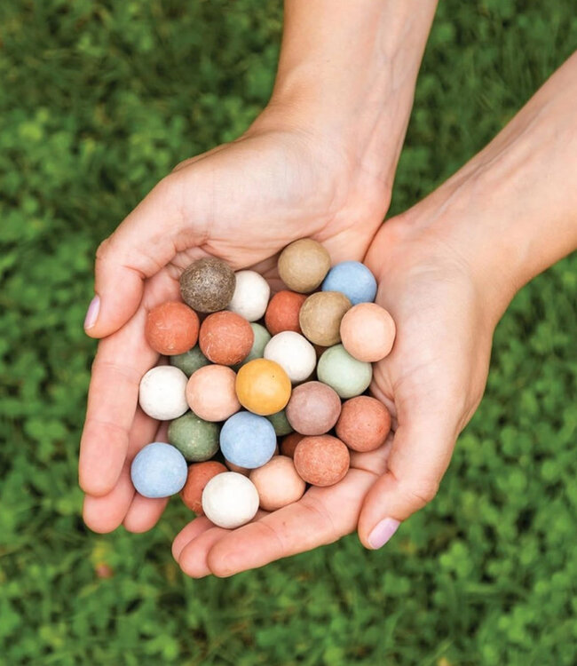 BLOSSOMBS gift box bloembommetjes IK VIND JE LIEF