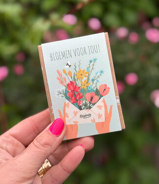 blossombs BLOSSOMBS gift box bloembommetjes BLOEMEN VOOR JOU!