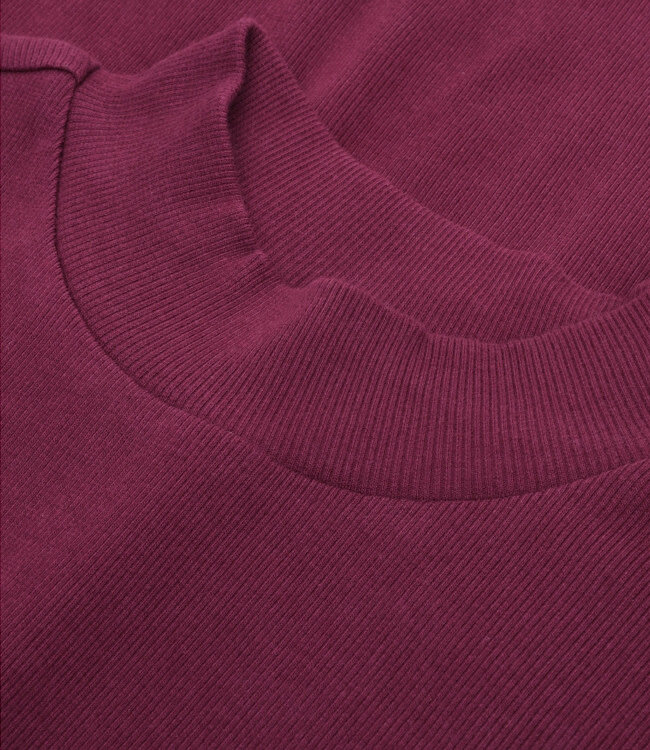 Rib shirt met opstaande kraag ANA FIG biologisch katoen