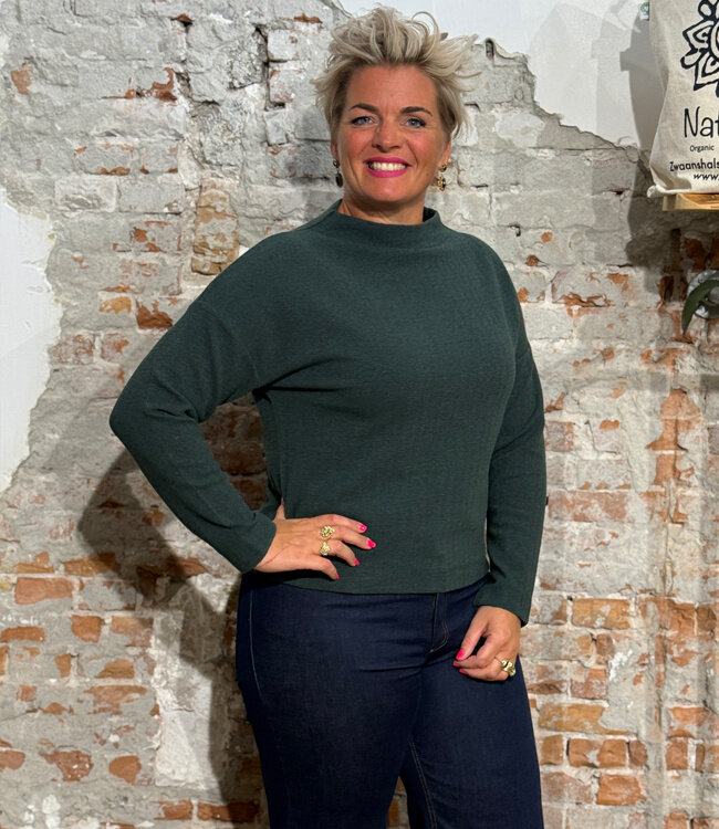 MADNESS trui opstaande kraag YVES PINE biokatoen jaquard