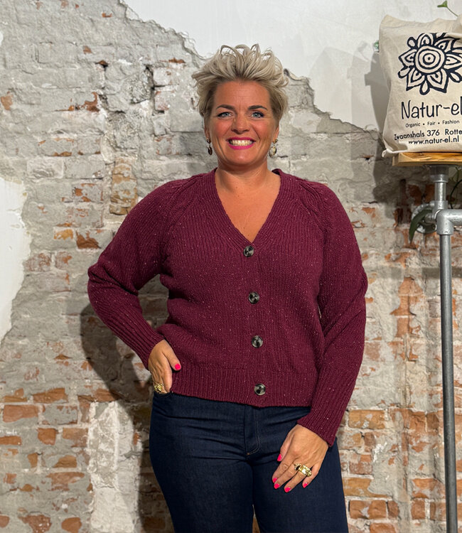 FISHERMAN wollen vest YMKJE BERRY van pure merino