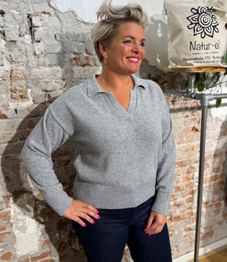 Living Crafts LIVING CRAFTS v-hals trui ALINA GREY biokatoen en wol